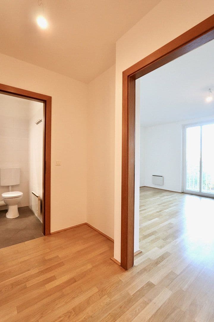 Prenájom bytu 1-izbový 33 m², Spittelauer Lände 9, Wien, Viedeň Prenájom bytu 1-izbový 33 m², Spittelauer Lände 9, Wien, Viedeň