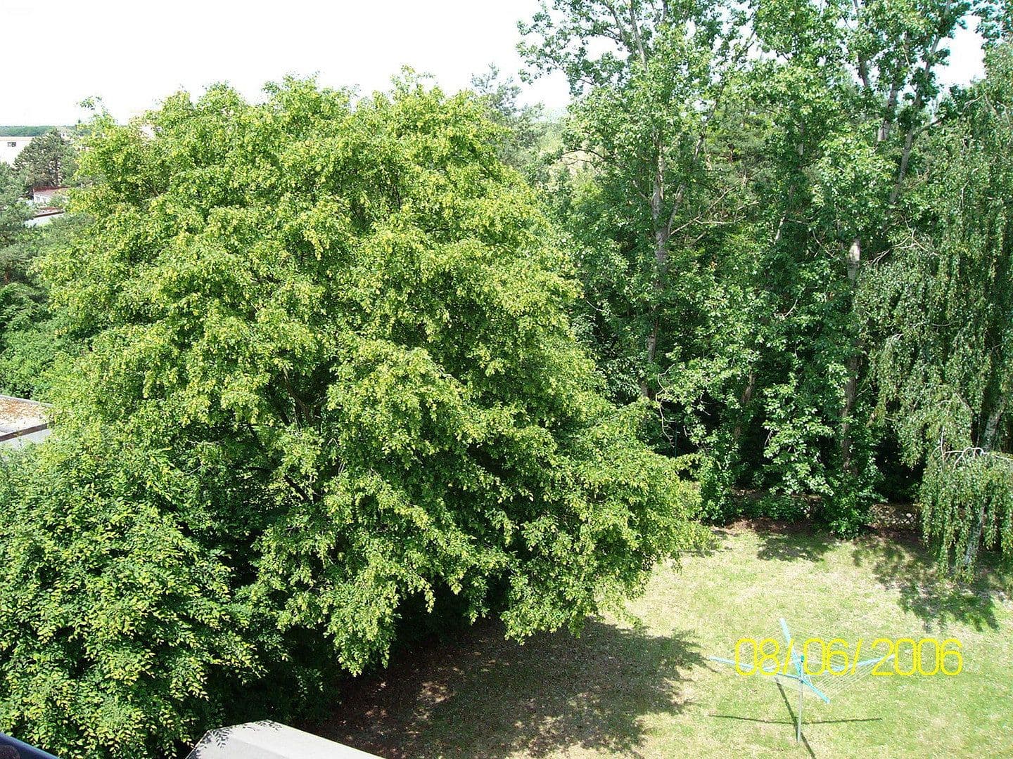 Prenájom bytu 1-izbový 22 m², Rodgau, Hesensko Prenájom bytu 1-izbový 22 m², Rodgau, Hesensko