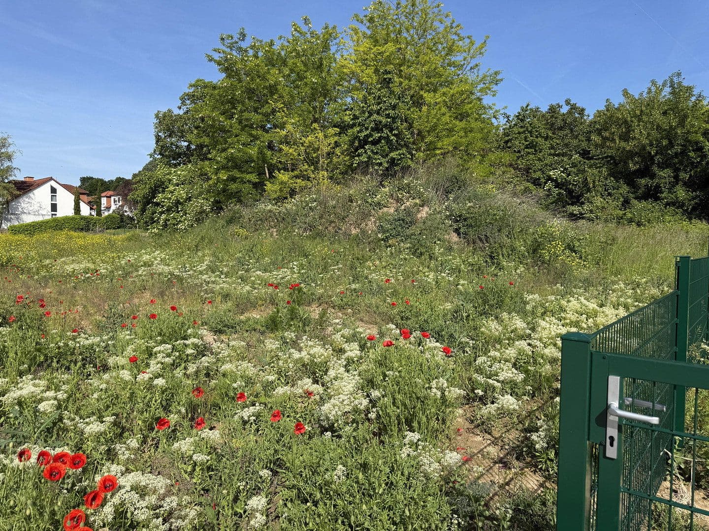 Predaj domu 128 m², pozemok 240 m², Am Kapellenberg 5-8, Saulheim, Porýnie-Falcko Predaj domu 128 m², pozemok 240 m², Am Kapellenberg 5-8, Saulheim, Porýnie-Falcko