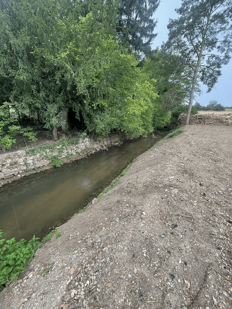 Predaj domu 171 m², pozemok 349 m², Obrigheim (Pfalz), Porýnie-Falcko Predaj domu 171 m², pozemok 349 m², Obrigheim (Pfalz), Porýnie-Falcko