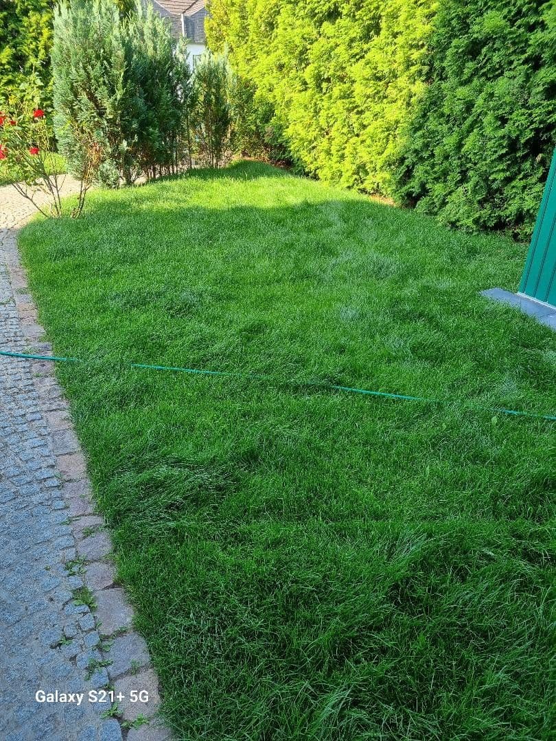 Prenájom domu 186 m², pozemok 384 m², Leverkusen, Severné Porýnie - Westfálsko Prenájom domu 186 m², pozemok 384 m², Leverkusen, Severné Porýnie - Westfálsko