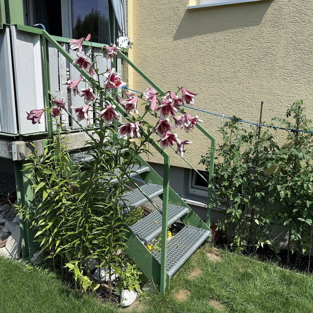 Predaj bytu 3-izbový 85 m², Am Lettenholz 16, Bad Tölz, Bavorsko Predaj bytu 3-izbový 85 m², Am Lettenholz 16, Bad Tölz, Bavorsko