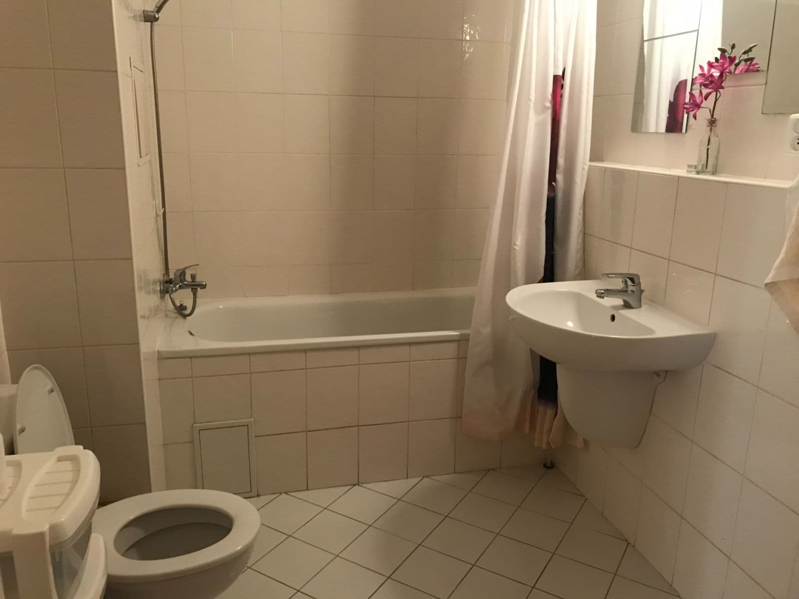 Prenájom bytu 1-izbový 45 m², Na Palouku, Praha, Praha Prenájom bytu 1-izbový 45 m², Na Palouku, Praha, Praha