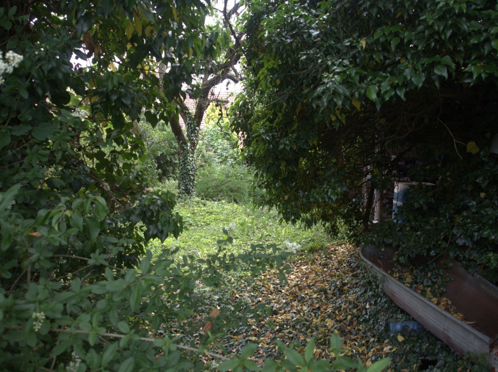 Predaj domu 112 m², pozemok 1.361 m², Masarykova, Klobouky u Brna, Jihomoravský kraj Predaj domu 112 m², pozemok 1.361 m², Masarykova, Klobouky u Brna, Jihomoravský kraj