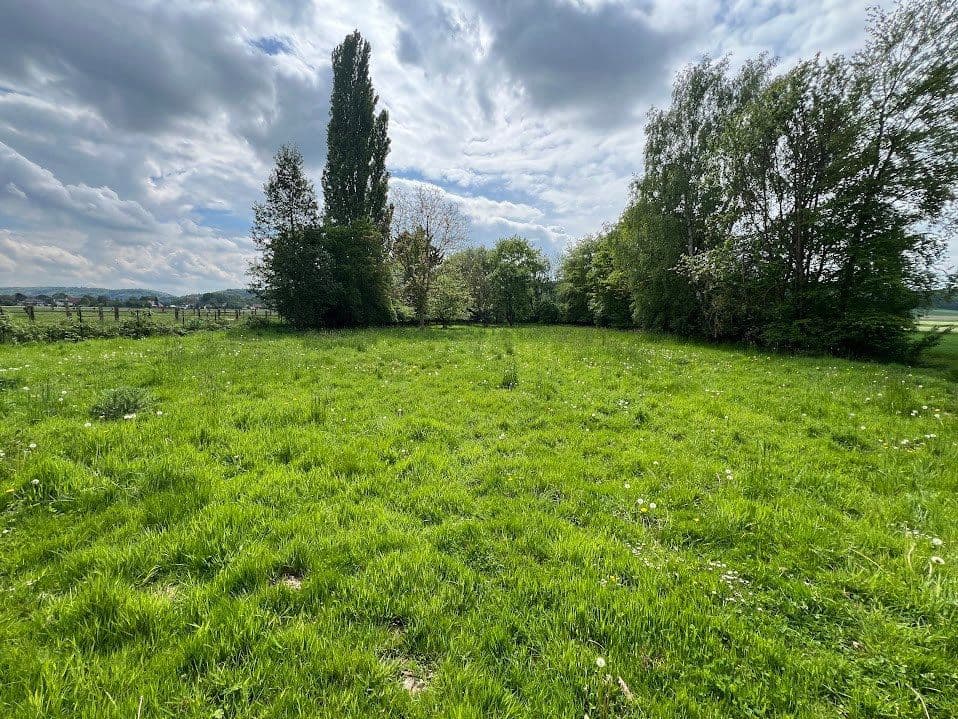 Prenájom domu 346 m², pozemok 5.245 m², Bad Essen, Dolné Sasko Prenájom domu 346 m², pozemok 5.245 m², Bad Essen, Dolné Sasko