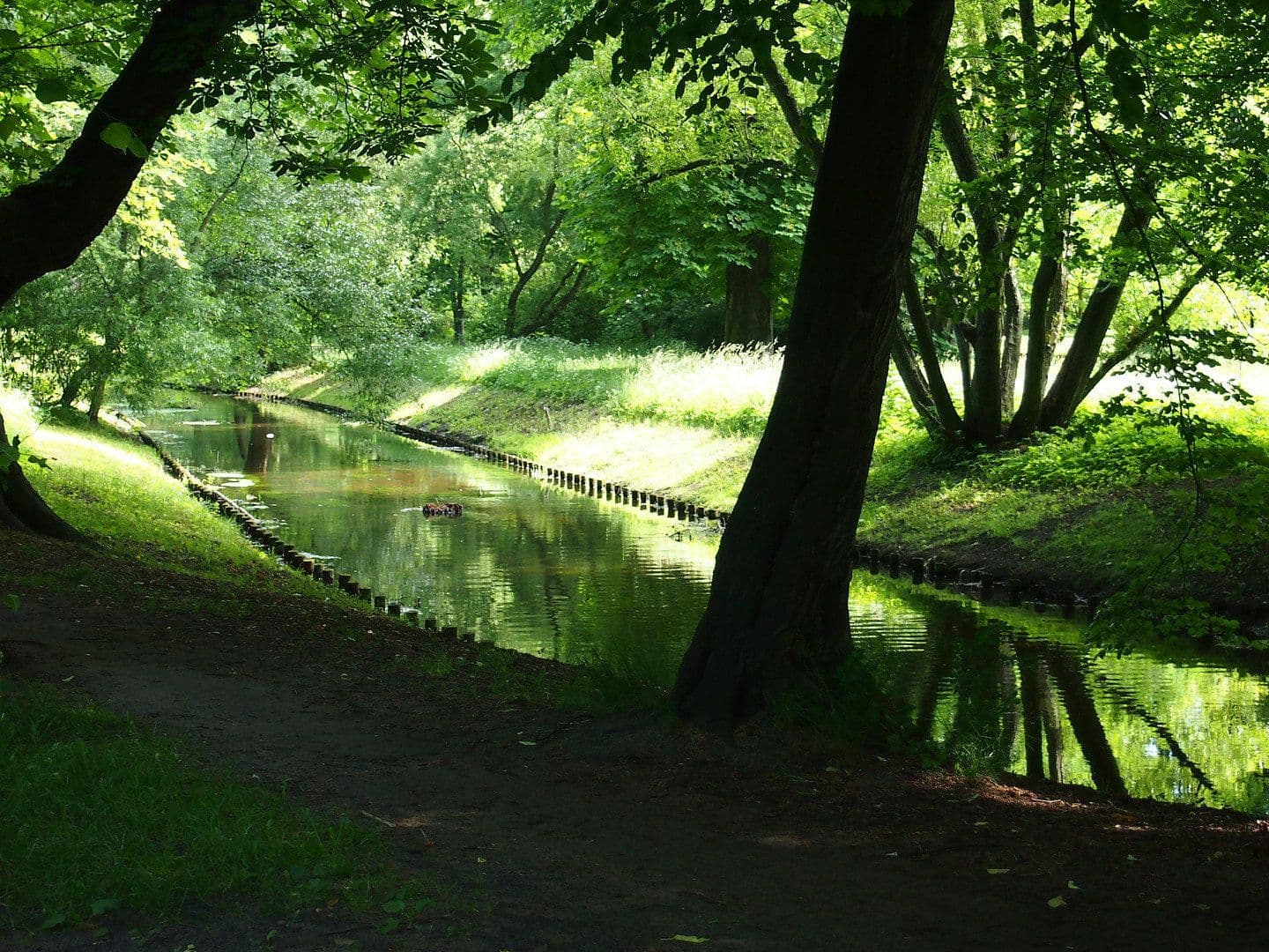 Prenájom bytu 4-izbový 172 m², Am Orangeriepark, Berlin, Berlín Prenájom bytu 4-izbový 172 m², Am Orangeriepark, Berlin, Berlín