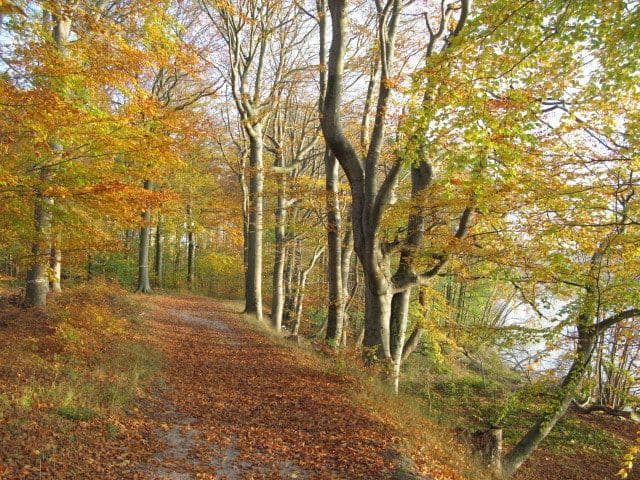 Predaj bytu 1-izbový 30 m², Diekseepromenade 2, Malente, Šlezvicko-Holštajnsko Predaj bytu 1-izbový 30 m², Diekseepromenade 2, Malente, Šlezvicko-Holštajnsko