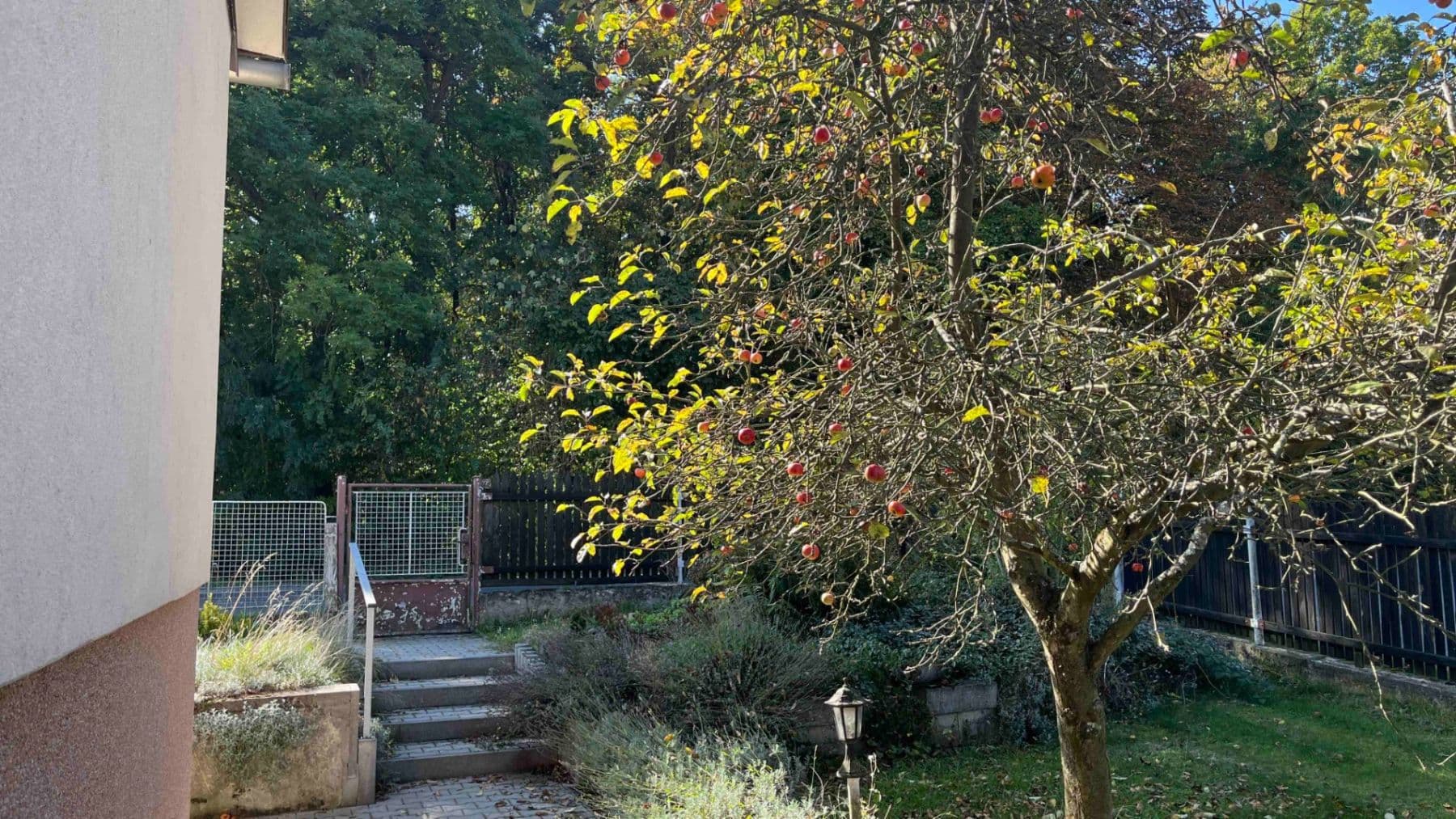 Predaj domu 104 m², pozemok 896 m², Lesní, Lány, Středočeský kraj Predaj domu 104 m², pozemok 896 m², Lesní, Lány, Středočeský kraj