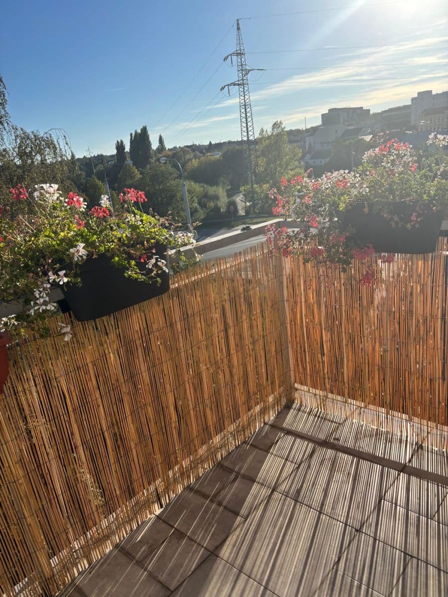 Prenájom bytu 2-izbový 50 m², Květná, Plzeň, Plzeňský kraj Prenájom bytu 2-izbový 50 m², Květná, Plzeň, Plzeňský kraj