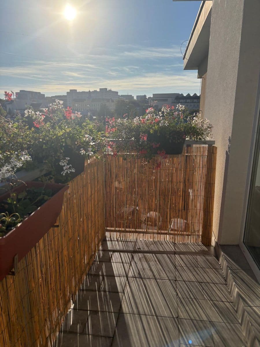 Prenájom bytu 2-izbový 50 m², Květná, Plzeň, Plzeňský kraj Prenájom bytu 2-izbový 50 m², Květná, Plzeň, Plzeňský kraj