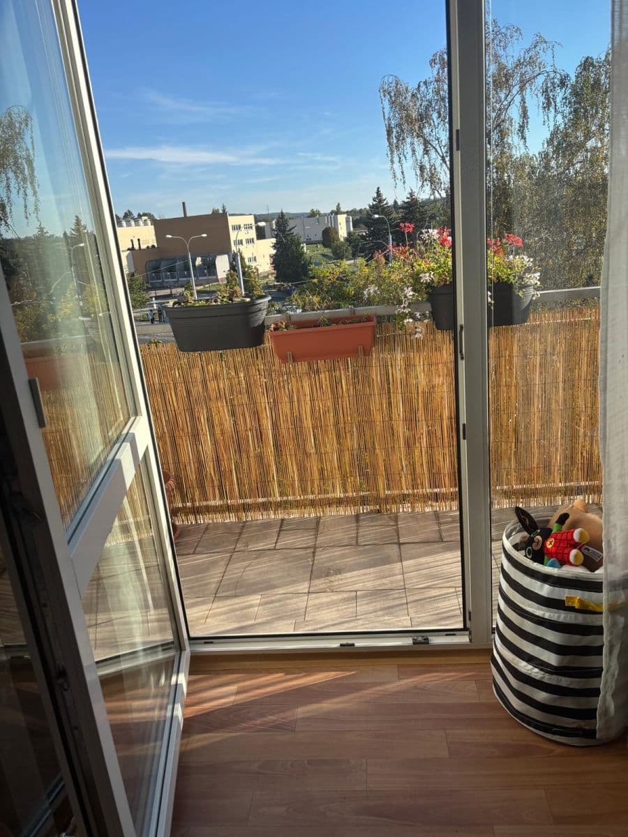 Prenájom bytu 2-izbový 50 m², Květná, Plzeň, Plzeňský kraj Prenájom bytu 2-izbový 50 m², Květná, Plzeň, Plzeňský kraj
