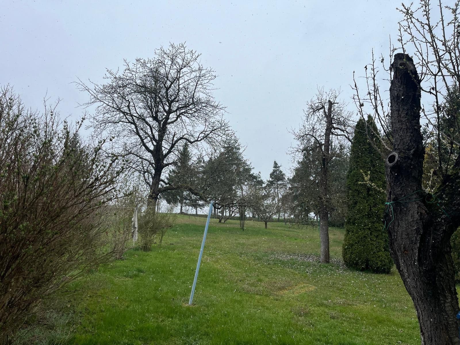 Predaj domu 100 m², pozemok 2.200 m², Březová, Středočeský kraj Predaj domu 100 m², pozemok 2.200 m², Březová, Středočeský kraj