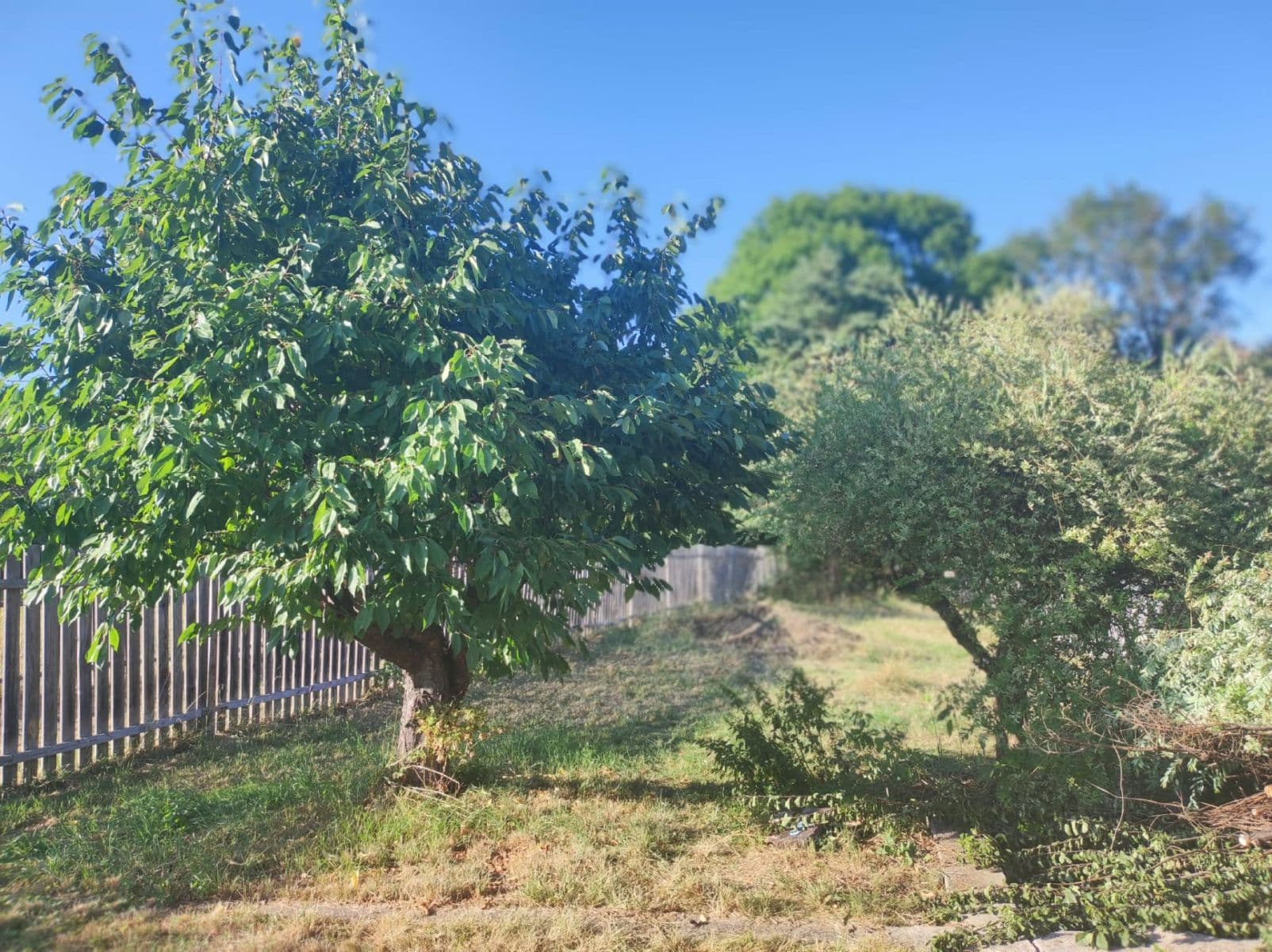 Predaj pozemku 500 m², Děčín, Ústecký kraj Predaj pozemku 500 m², Děčín, Ústecký kraj