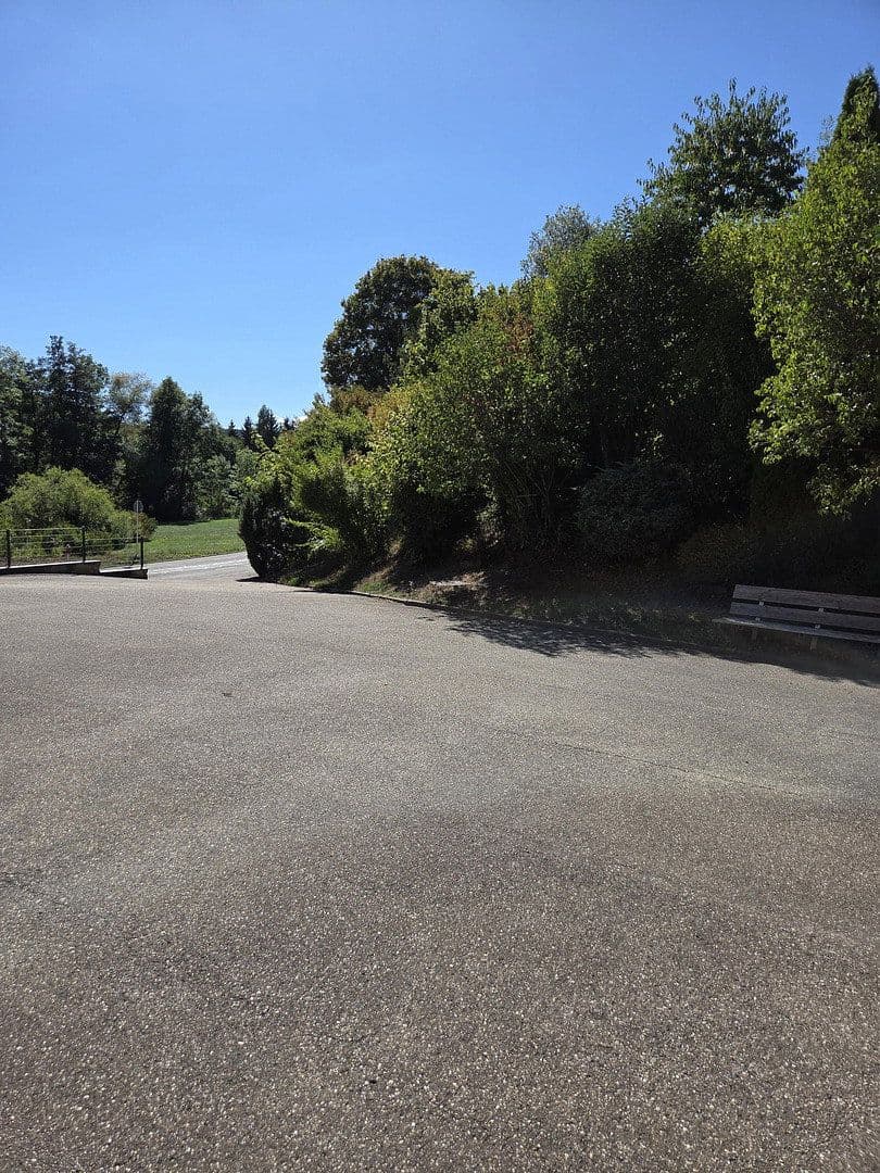 Predaj domu 260 m², pozemok 2.052 m², Niedereschach, Bádensko-Wurttembersko Predaj domu 260 m², pozemok 2.052 m², Niedereschach, Bádensko-Wurttembersko