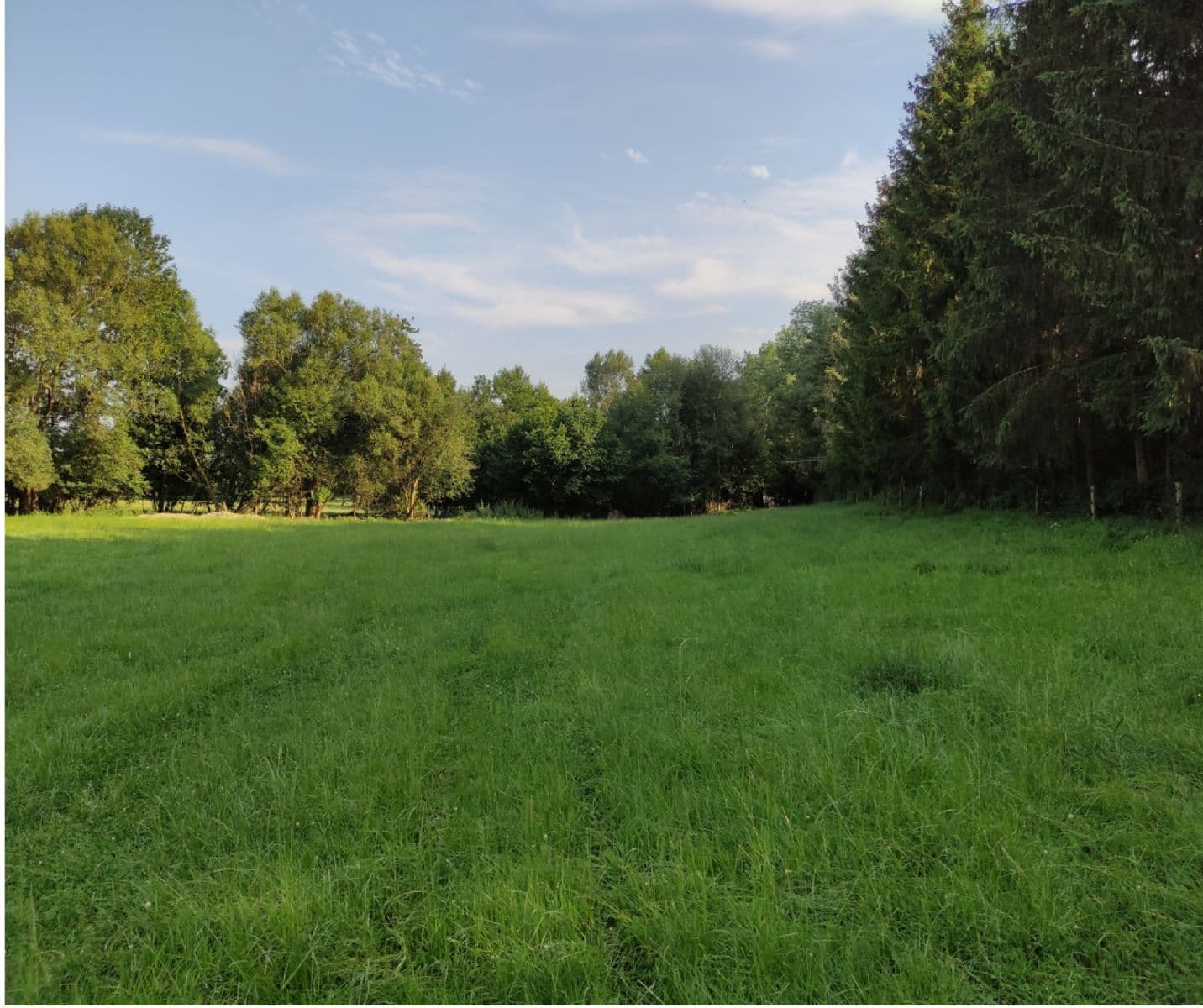 Predaj pozemku 3.974 m², Vysoké Mýto, Pardubický kraj Predaj pozemku 3.974 m², Vysoké Mýto, Pardubický kraj