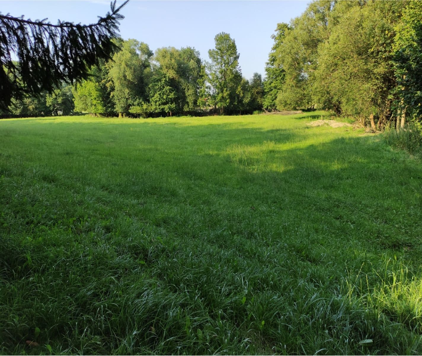 Predaj pozemku 3.974 m², Vysoké Mýto, Pardubický kraj Predaj pozemku 3.974 m², Vysoké Mýto, Pardubický kraj