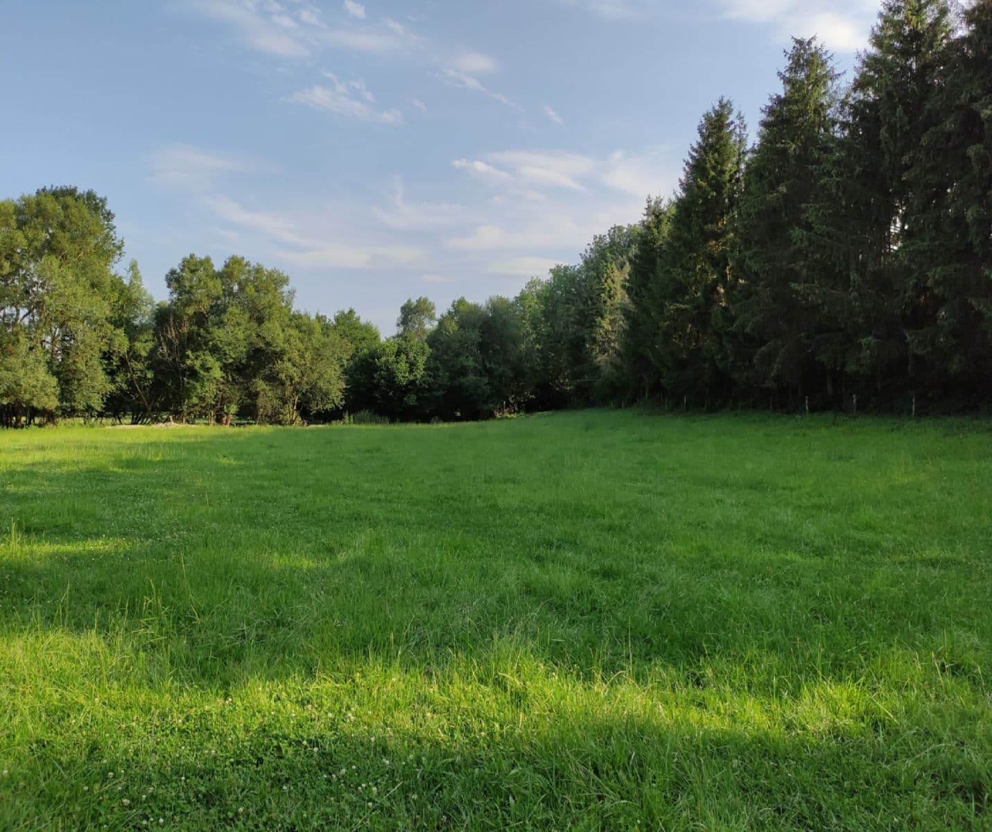 Predaj pozemku 3.974 m², Vysoké Mýto, Pardubický kraj Predaj pozemku 3.974 m², Vysoké Mýto, Pardubický kraj