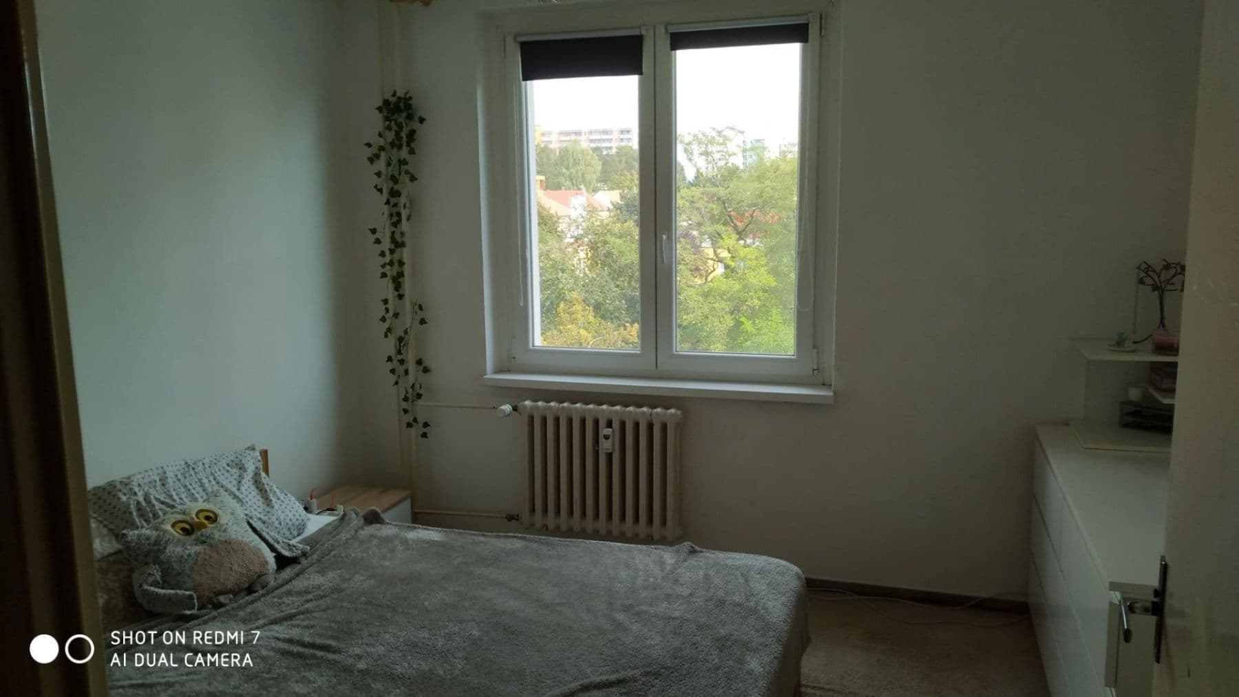 Prenájom bytu 2-izbový 44 m², Spodní, Brno, Jihomoravský kraj Prenájom bytu 2-izbový 44 m², Spodní, Brno, Jihomoravský kraj