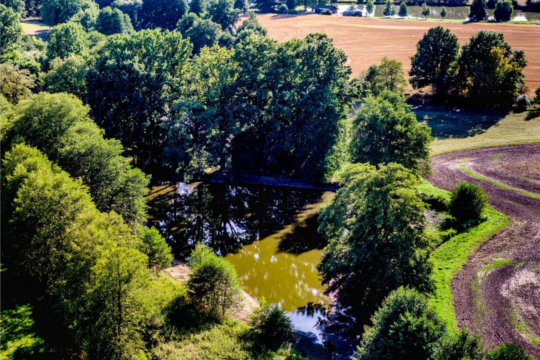 Predaj pozemku 2.102 m², Lásenice, Jihočeský kraj Predaj pozemku 2.102 m², Lásenice, Jihočeský kraj