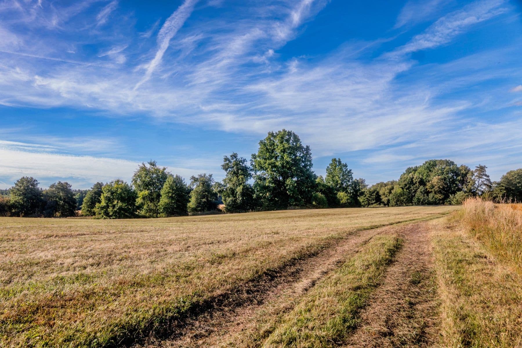 Predaj pozemku 2.102 m², Lásenice, Jihočeský kraj Predaj pozemku 2.102 m², Lásenice, Jihočeský kraj