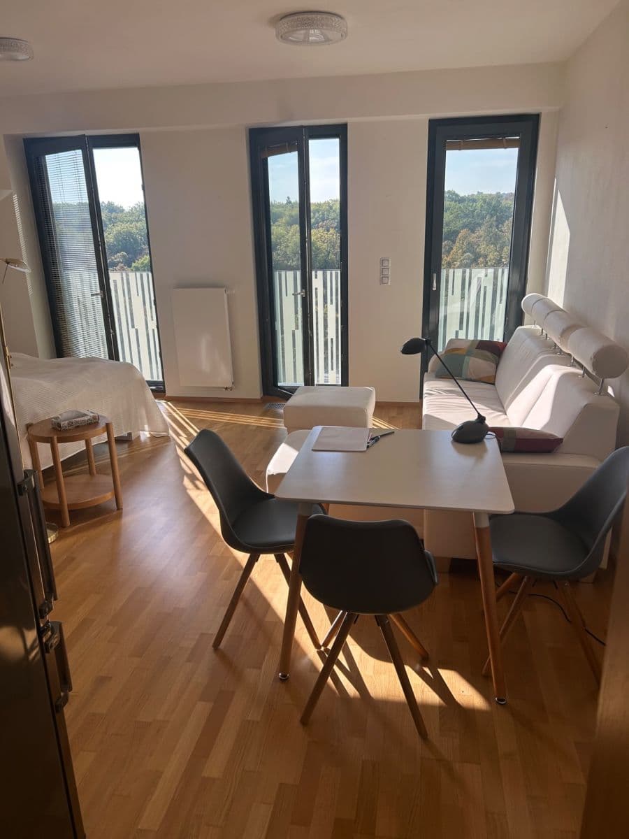 Prenájom bytu 1-izbový 37 m², Olšanská, Praha, Praha Prenájom bytu 1-izbový 37 m², Olšanská, Praha, Praha