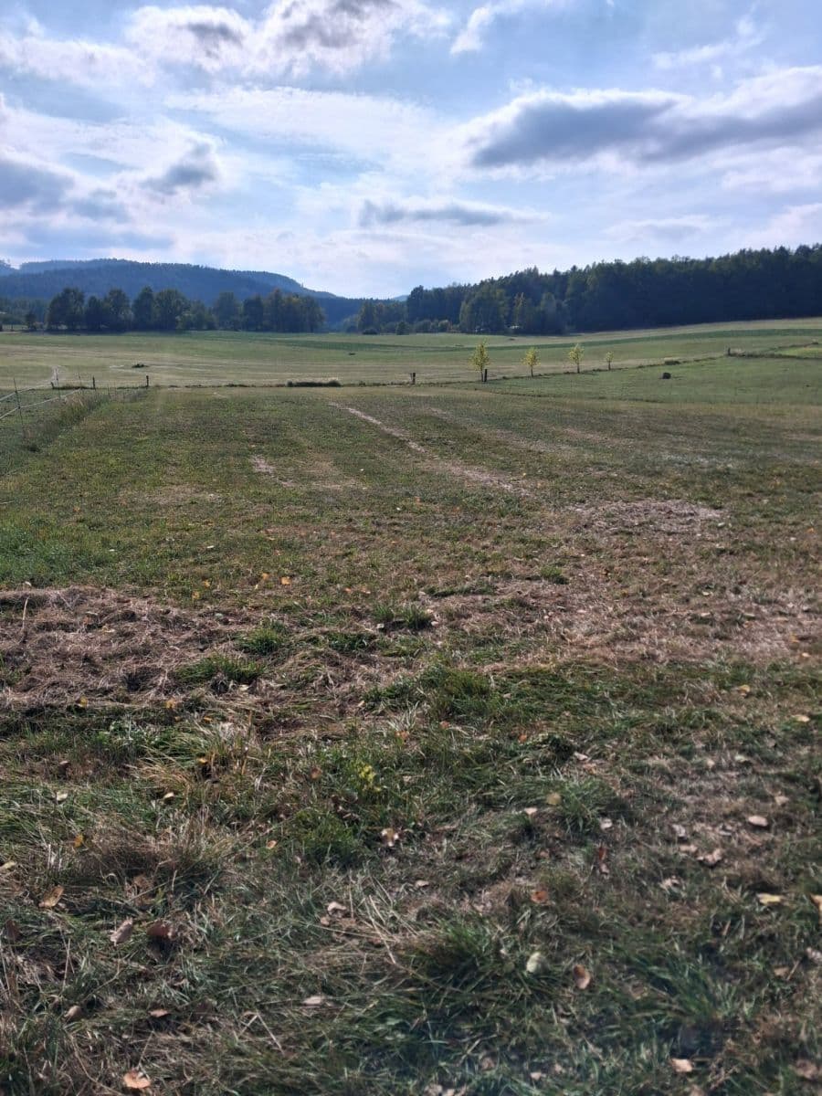 Predaj pozemku 3.266 m², Lhenice, Jihočeský kraj Predaj pozemku 3.266 m², Lhenice, Jihočeský kraj