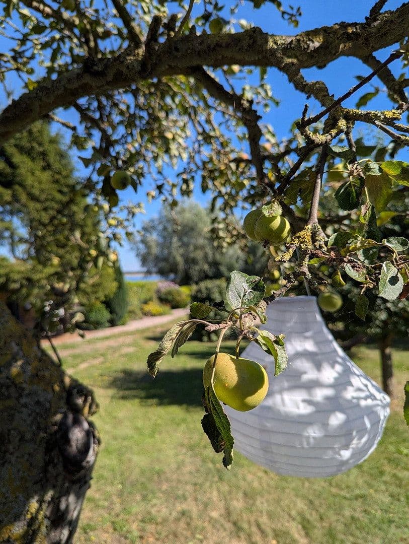Predaj pozemku 581 m², Am Fährdorfer Berg 14 a, Insel Poel, Meklenbursko-Predpomoransko Predaj pozemku 581 m², Am Fährdorfer Berg 14 a, Insel Poel, Meklenbursko-Predpomoransko