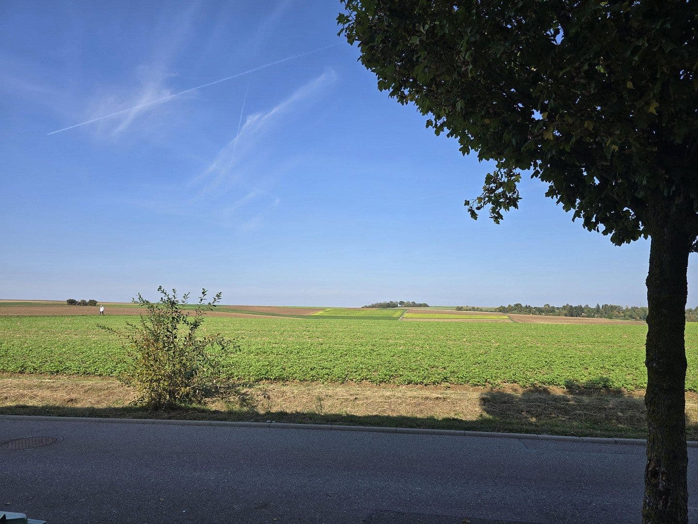 Predaj domu 140 m², pozemok 150 m², Hemmingen, Bádensko-Wurttembersko Predaj domu 140 m², pozemok 150 m², Hemmingen, Bádensko-Wurttembersko