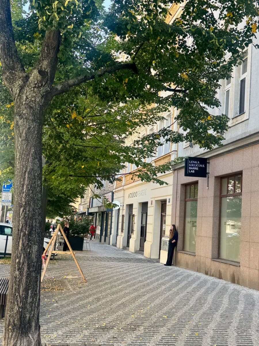 Prenájom bytu 1-izbový 40 m², Na Kovárně, Praha, Praha Prenájom bytu 1-izbový 40 m², Na Kovárně, Praha, Praha