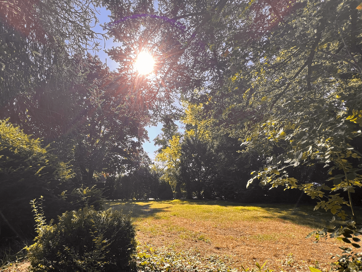 Prenájom domu 167 m², pozemok 1.352 m², Zum Dicken Busch 65, Barsbüttel, Šlezvicko-Holštajnsko Prenájom domu 167 m², pozemok 1.352 m², Zum Dicken Busch 65, Barsbüttel, Šlezvicko-Holštajnsko