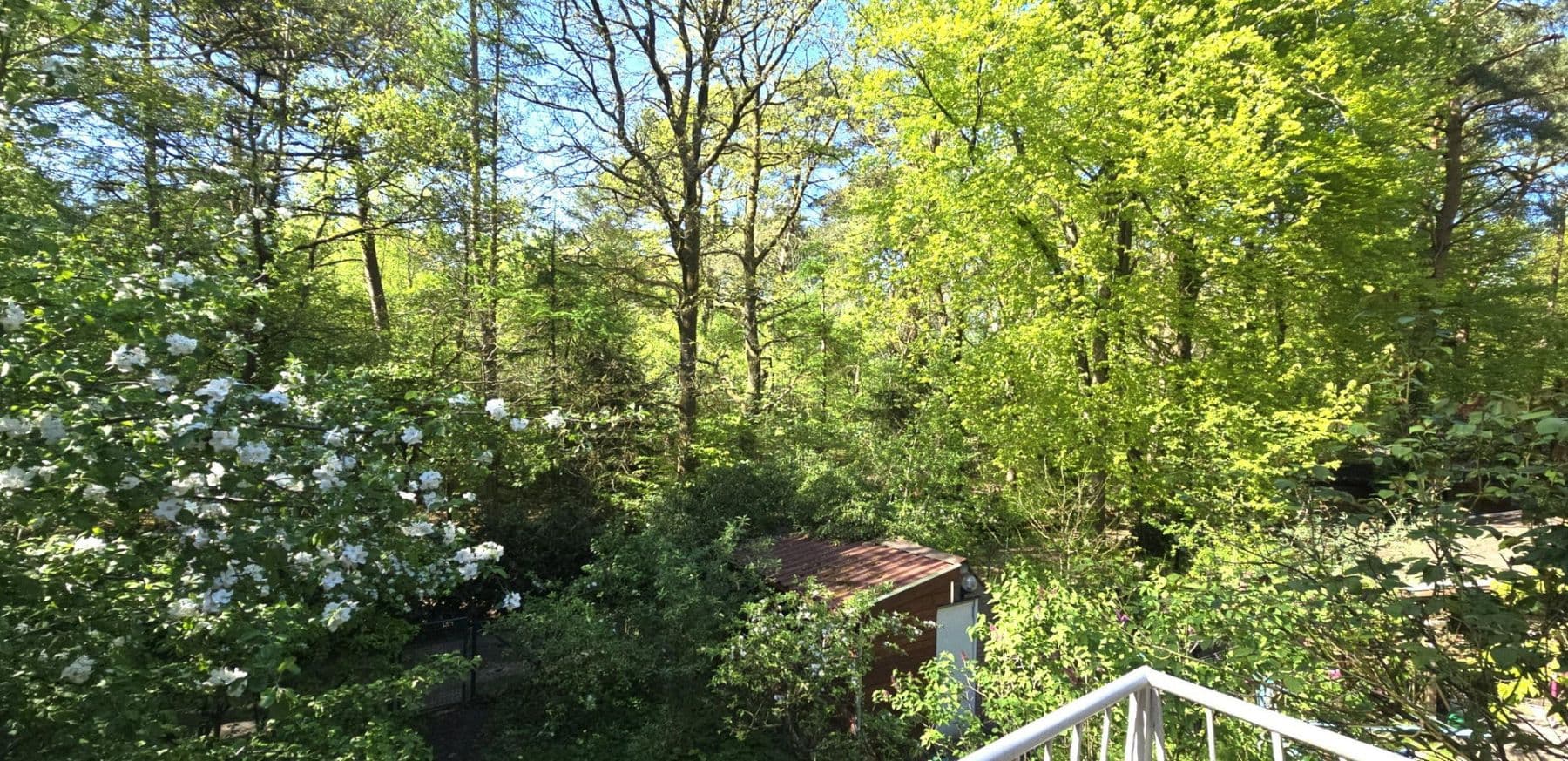 Predaj domu 398 m², pozemok 5.380 m², Wenzendorf, Dolné Sasko Predaj domu 398 m², pozemok 5.380 m², Wenzendorf, Dolné Sasko