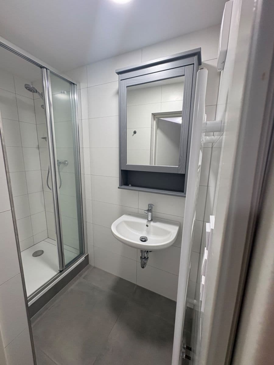 Prenájom bytu 2-izbový 56 m², Čápkova, Brno, Jihomoravský kraj Prenájom bytu 2-izbový 56 m², Čápkova, Brno, Jihomoravský kraj
