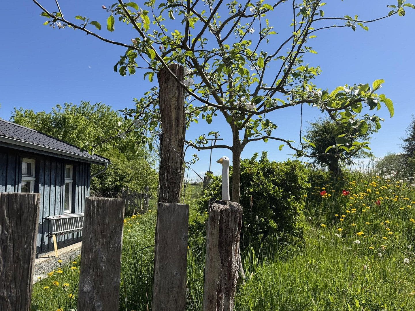 Predaj domu 178 m², pozemok 3.689 m², Rehhorst, Šlezvicko-Holštajnsko Predaj domu 178 m², pozemok 3.689 m², Rehhorst, Šlezvicko-Holštajnsko