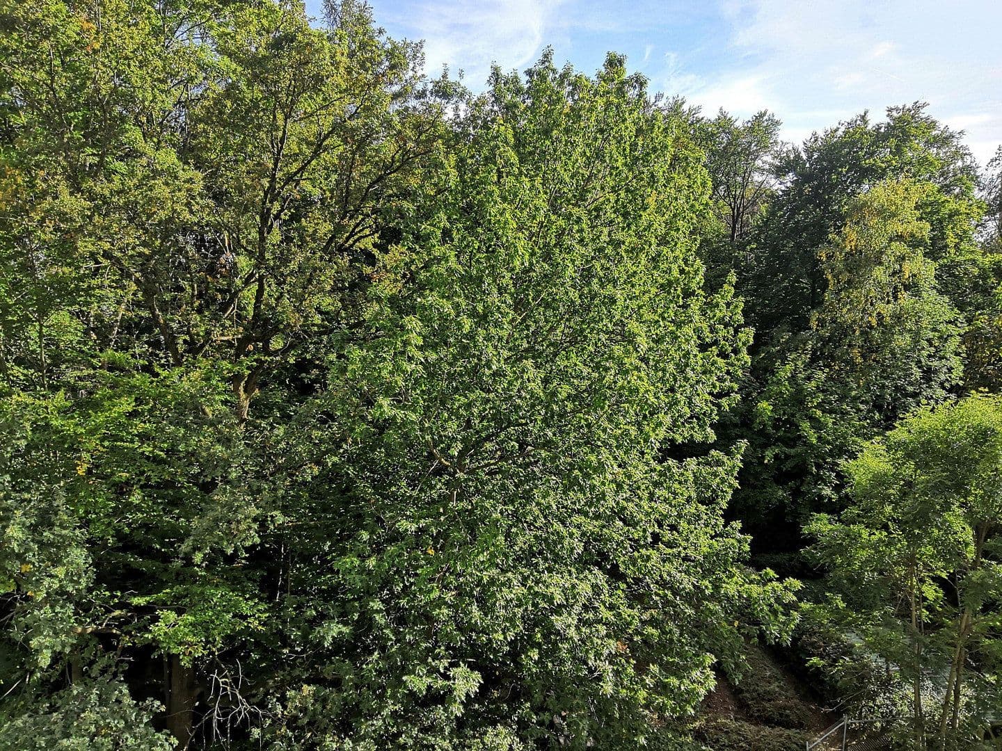 Predaj bytu 2-izbový 67 m², Im Asemwald 22, Auenwald, Bádensko-Wurttembersko Predaj bytu 2-izbový 67 m², Im Asemwald 22, Auenwald, Bádensko-Wurttembersko