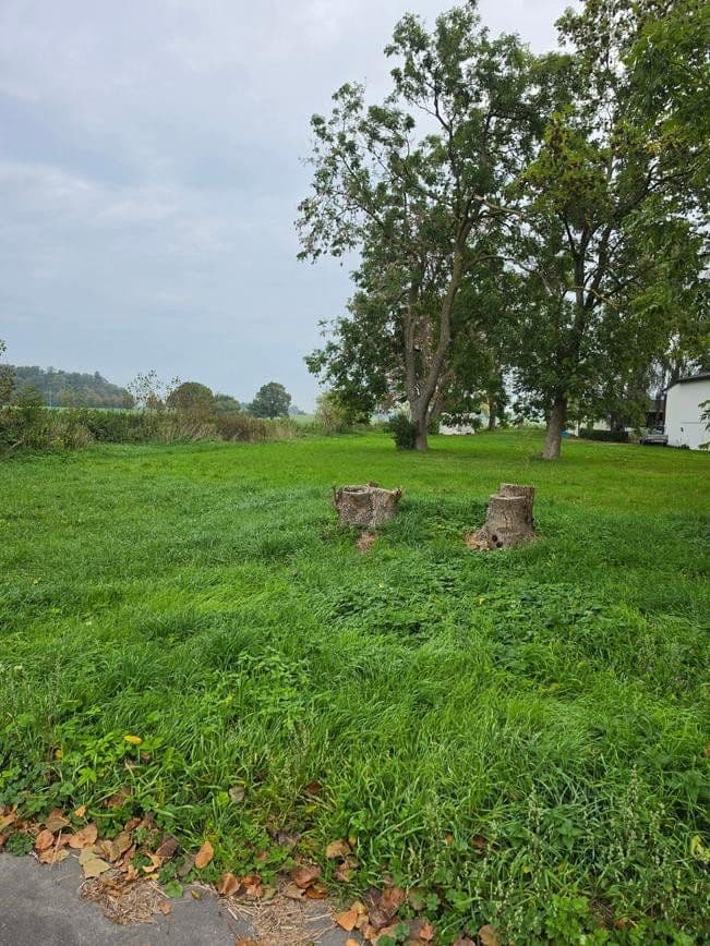 Predaj pozemku 1.298 m², Zehlen 4, Bergen auf Rügen, Meklenbursko-Predpomoransko Predaj pozemku 1.298 m², Zehlen 4, Bergen auf Rügen, Meklenbursko-Predpomoransko