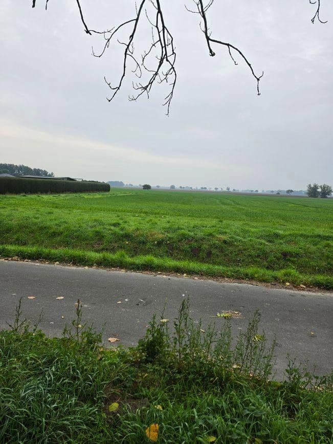 Predaj pozemku 1.298 m², Zehlen 4, Bergen auf Rügen, Meklenbursko-Predpomoransko Predaj pozemku 1.298 m², Zehlen 4, Bergen auf Rügen, Meklenbursko-Predpomoransko