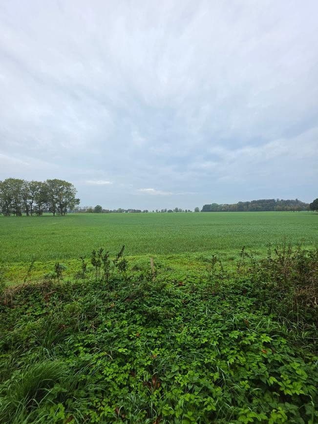 Predaj pozemku 1.298 m², Zehlen 4, Bergen auf Rügen, Meklenbursko-Predpomoransko Predaj pozemku 1.298 m², Zehlen 4, Bergen auf Rügen, Meklenbursko-Predpomoransko