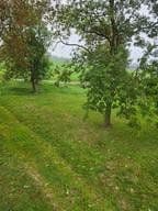 Predaj pozemku 1.298 m², Zehlen 4, Bergen auf Rügen, Meklenbursko-Predpomoransko Predaj pozemku 1.298 m², Zehlen 4, Bergen auf Rügen, Meklenbursko-Predpomoransko