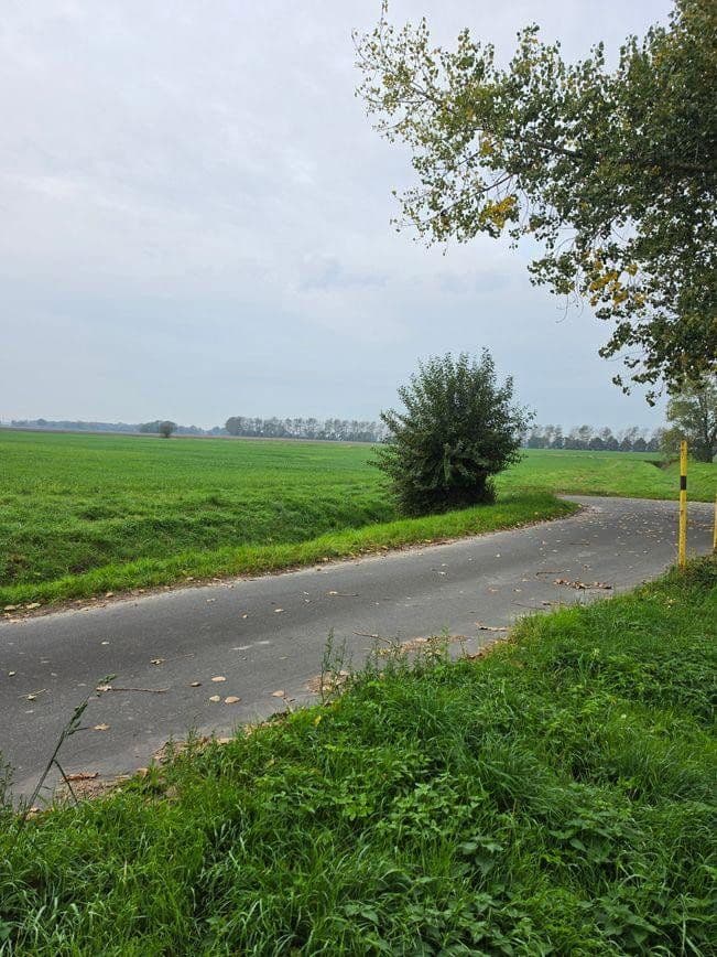 Predaj pozemku 1.298 m², Zehlen 4, Bergen auf Rügen, Meklenbursko-Predpomoransko Predaj pozemku 1.298 m², Zehlen 4, Bergen auf Rügen, Meklenbursko-Predpomoransko