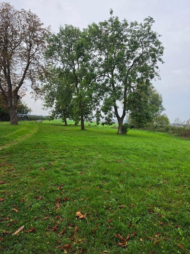 Predaj pozemku 1.298 m², Zehlen 4, Bergen auf Rügen, Meklenbursko-Predpomoransko Predaj pozemku 1.298 m², Zehlen 4, Bergen auf Rügen, Meklenbursko-Predpomoransko