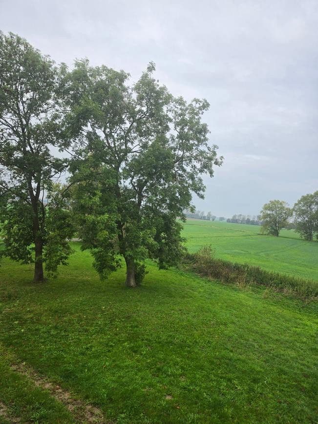 Predaj pozemku 1.298 m², Zehlen 4, Bergen auf Rügen, Meklenbursko-Predpomoransko Predaj pozemku 1.298 m², Zehlen 4, Bergen auf Rügen, Meklenbursko-Predpomoransko