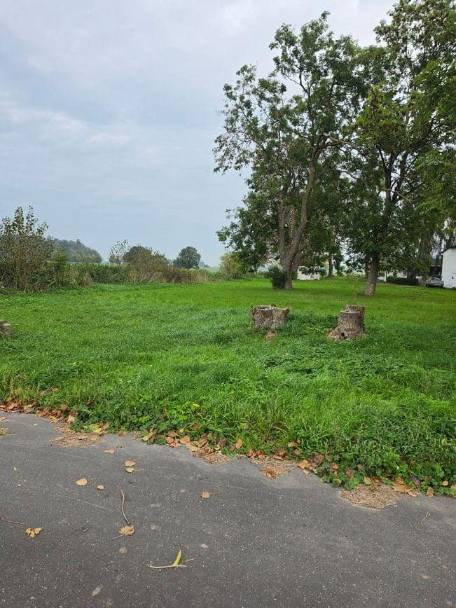 Predaj pozemku 1.298 m², Zehlen 4, Bergen auf Rügen, Meklenbursko-Predpomoransko Predaj pozemku 1.298 m², Zehlen 4, Bergen auf Rügen, Meklenbursko-Predpomoransko