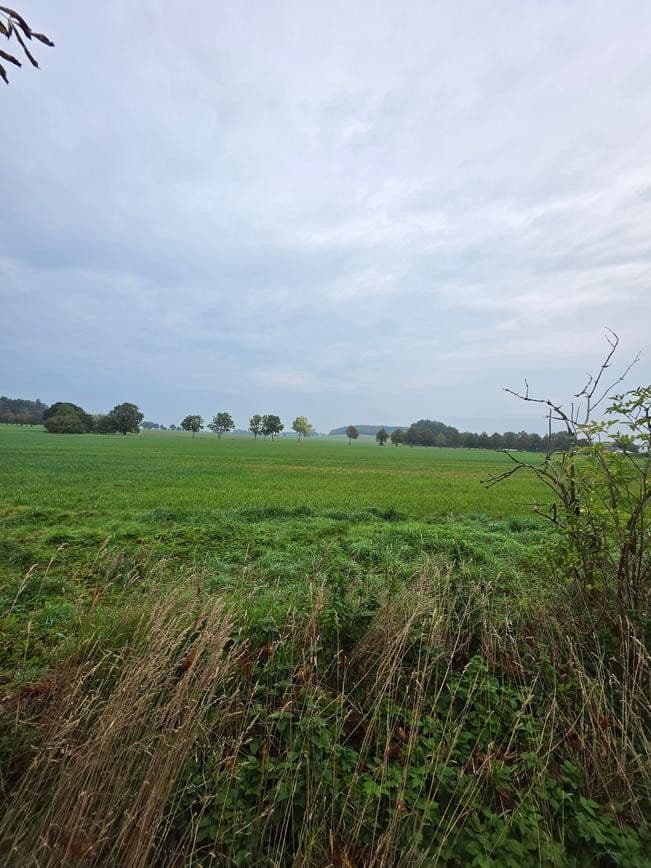 Predaj pozemku 1.298 m², Zehlen 4, Bergen auf Rügen, Meklenbursko-Predpomoransko Predaj pozemku 1.298 m², Zehlen 4, Bergen auf Rügen, Meklenbursko-Predpomoransko