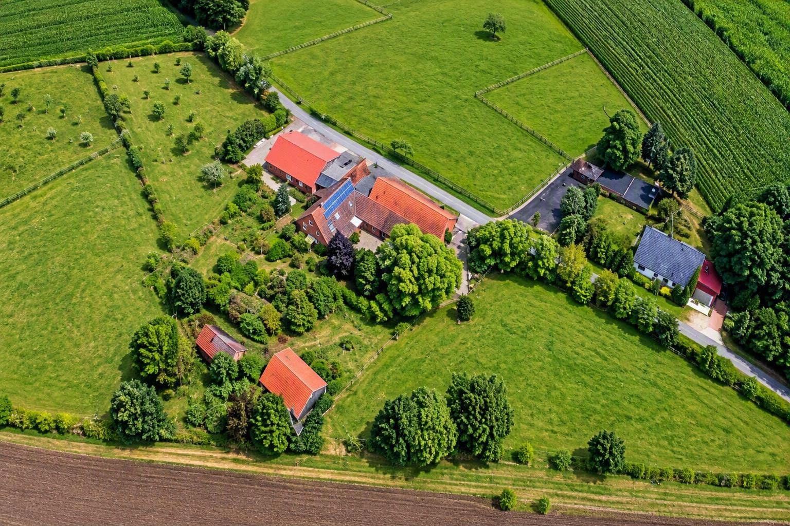 Predaj domu 378 m², pozemok 6.400 m², Wagenfeld, Dolné Sasko Predaj domu 378 m², pozemok 6.400 m², Wagenfeld, Dolné Sasko