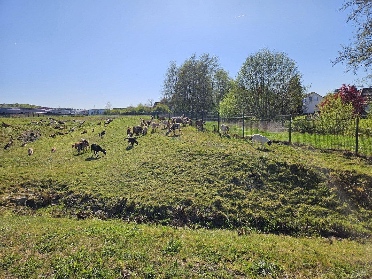 Predaj pozemku 751 m², Offenbergblick 16, Hofgeismar, Hesensko Predaj pozemku 751 m², Offenbergblick 16, Hofgeismar, Hesensko