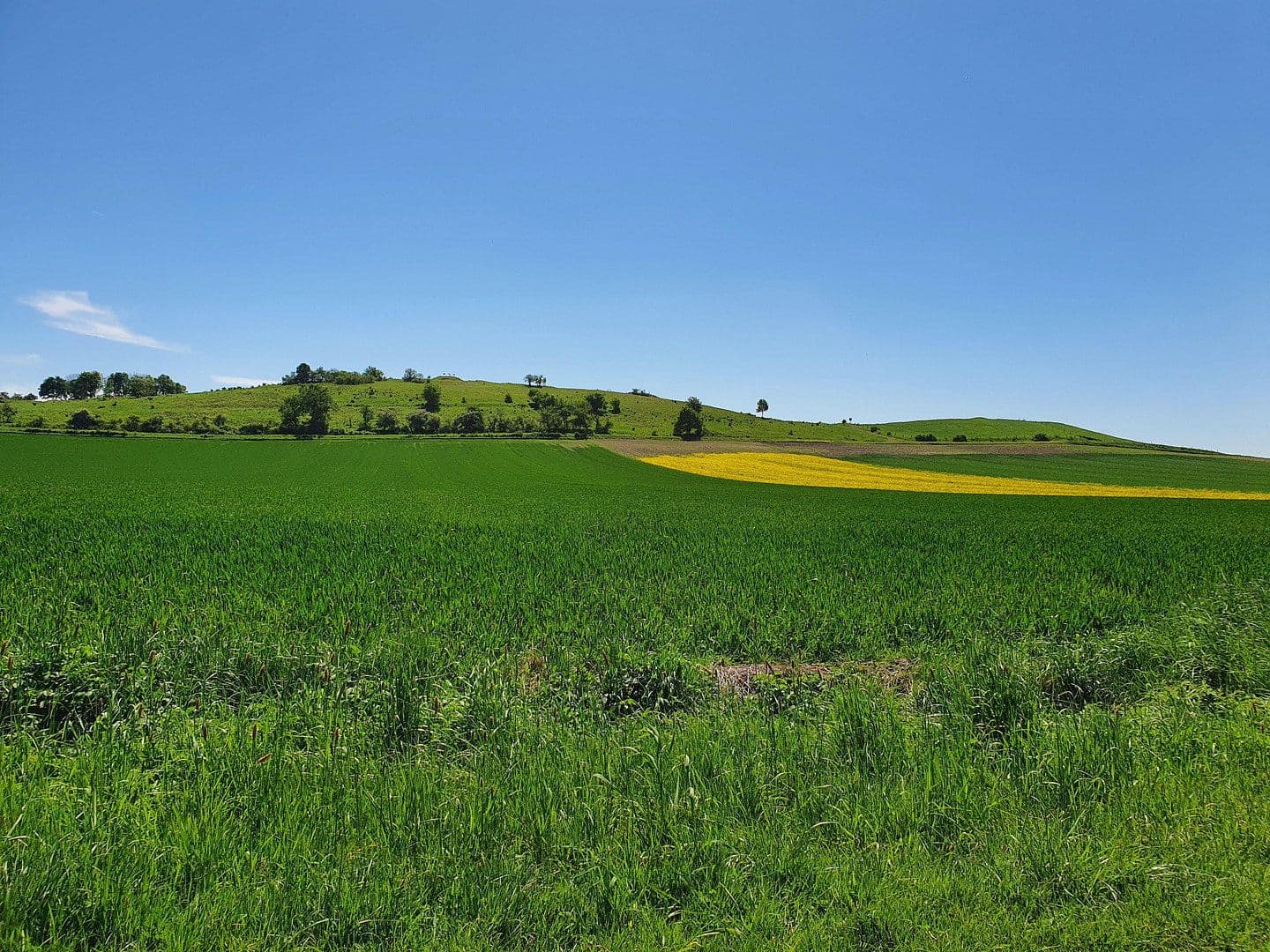Predaj pozemku 751 m², Offenbergblick 16, Hofgeismar, Hesensko Predaj pozemku 751 m², Offenbergblick 16, Hofgeismar, Hesensko