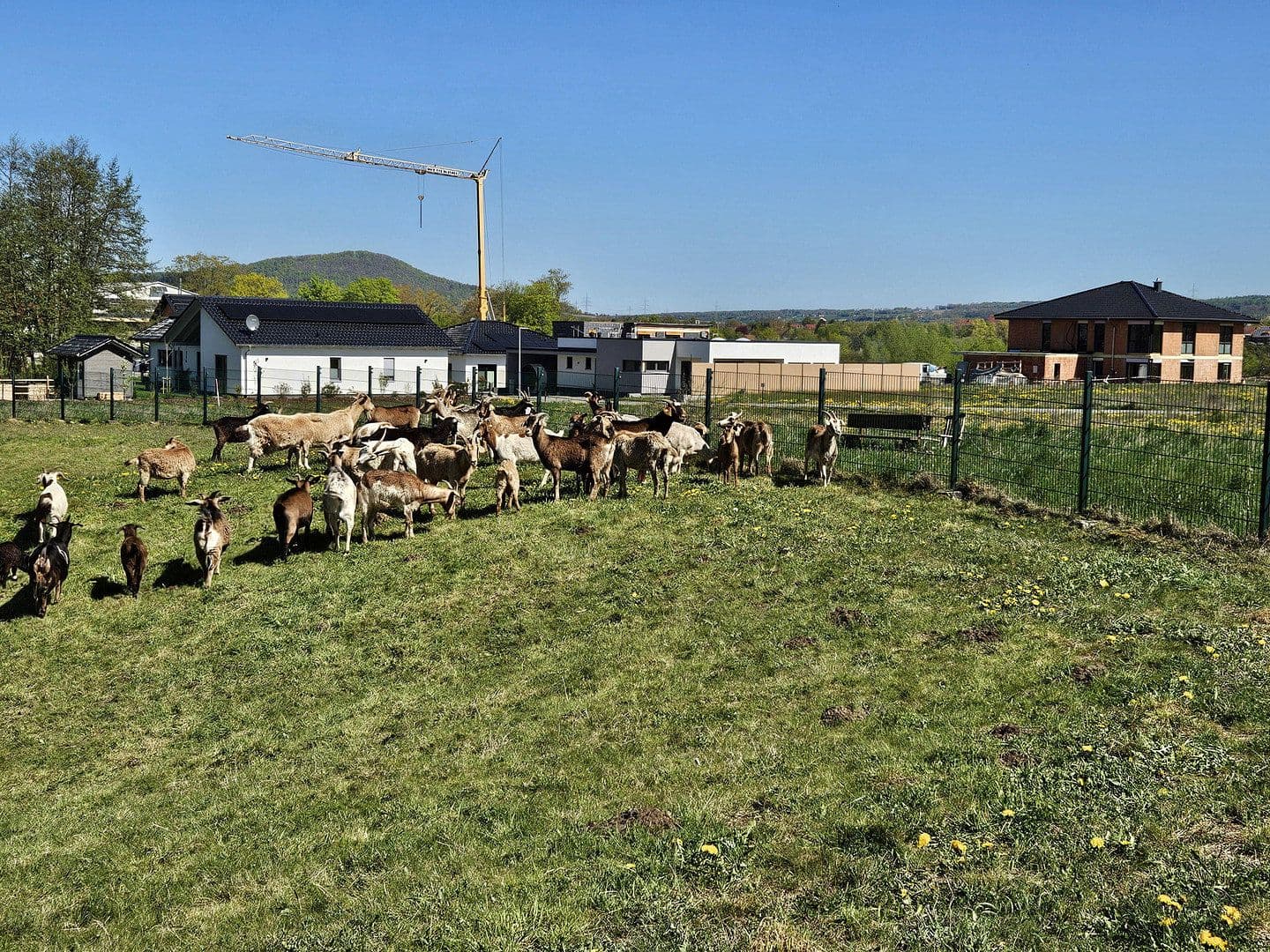 Predaj pozemku 751 m², Offenbergblick 16, Hofgeismar, Hesensko Predaj pozemku 751 m², Offenbergblick 16, Hofgeismar, Hesensko