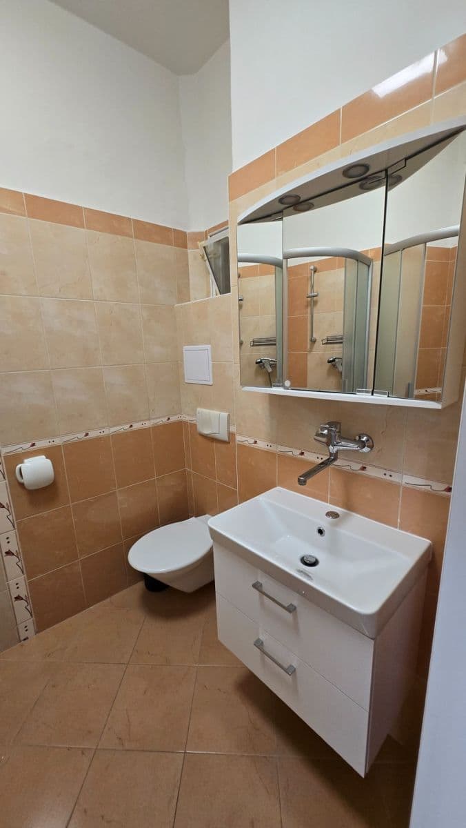 Prenájom bytu 1-izbový 30 m², Vrchlického, Praha, Praha Prenájom bytu 1-izbový 30 m², Vrchlického, Praha, Praha
