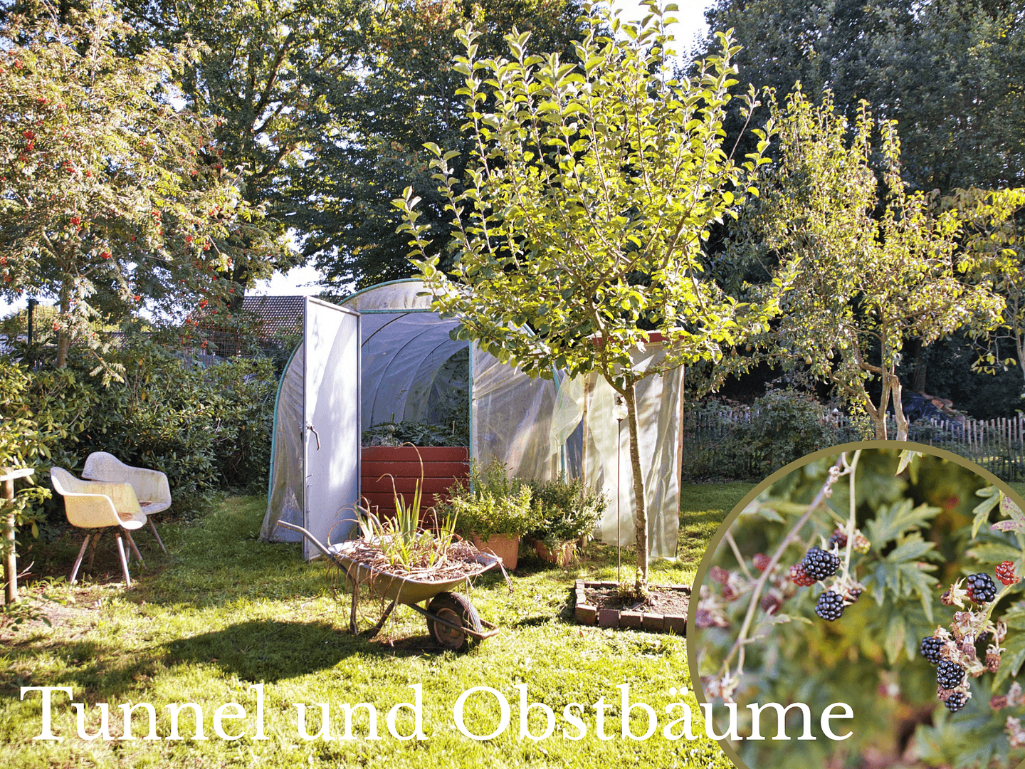 Predaj domu 209 m², pozemok 2.400 m², Bad Zwischenahn, Dolné Sasko Predaj domu 209 m², pozemok 2.400 m², Bad Zwischenahn, Dolné Sasko