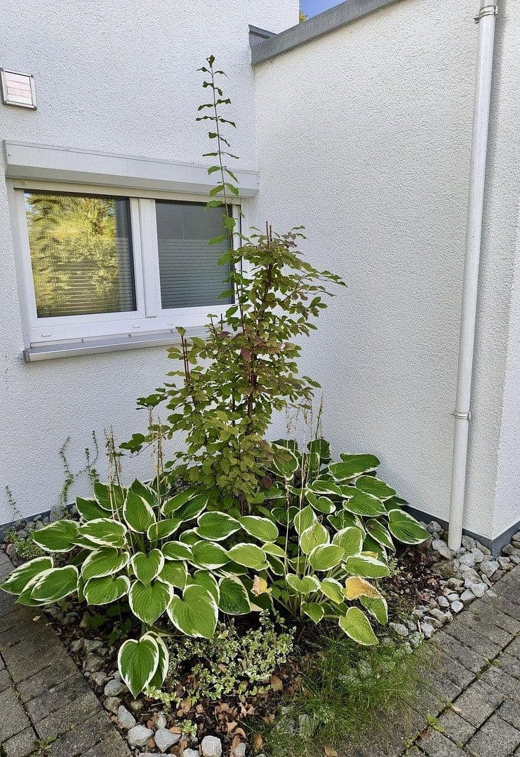 Predaj domu 111 m², pozemok 192 m², Altdorf, Bádensko-Wurttembersko Predaj domu 111 m², pozemok 192 m², Altdorf, Bádensko-Wurttembersko